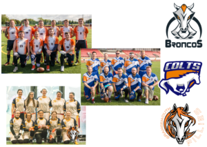 Step Two on our way Back to Normality